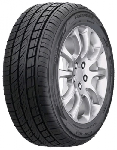 FORTUNE FSR303
